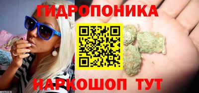 стафф Анапа