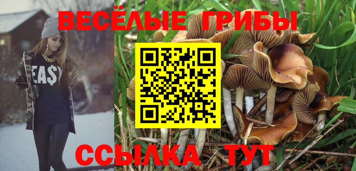 Псилоцибиновые грибы GOLDEN TEACHER  Вход с VPN  Белогорск 